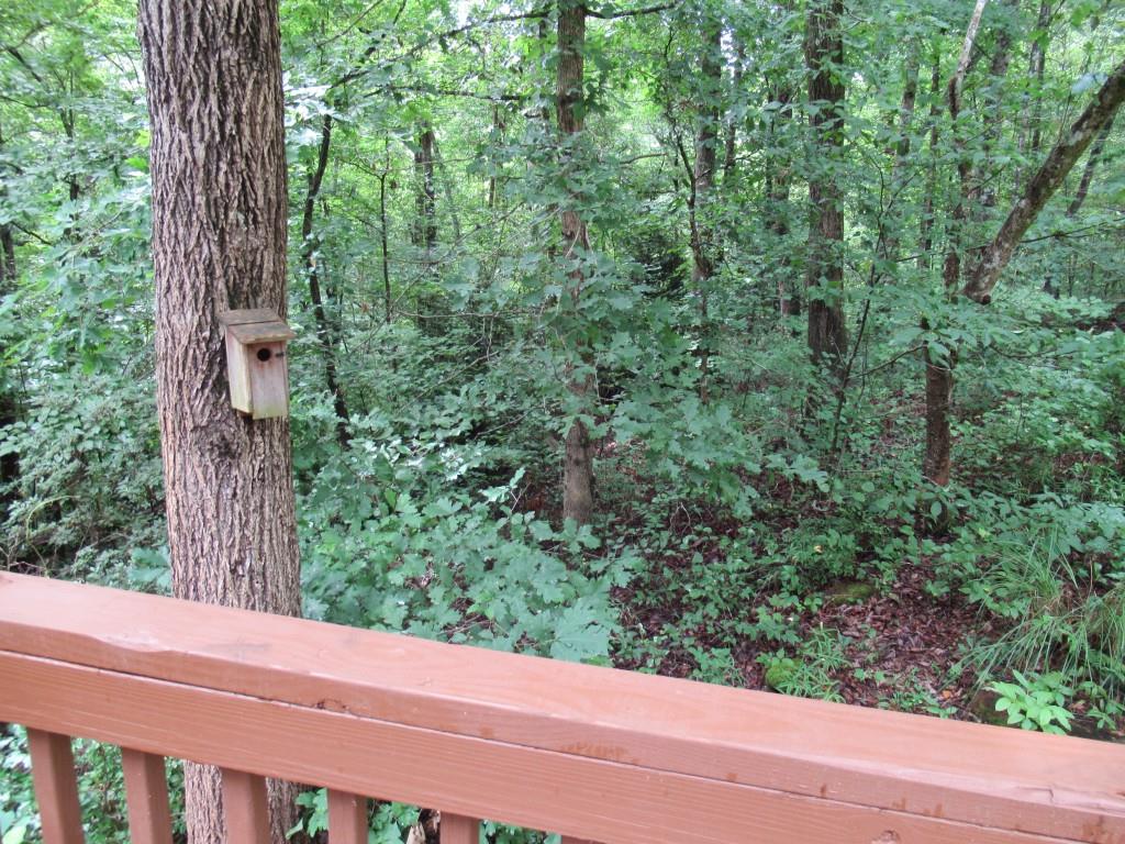 211 Shadow Hills Lane