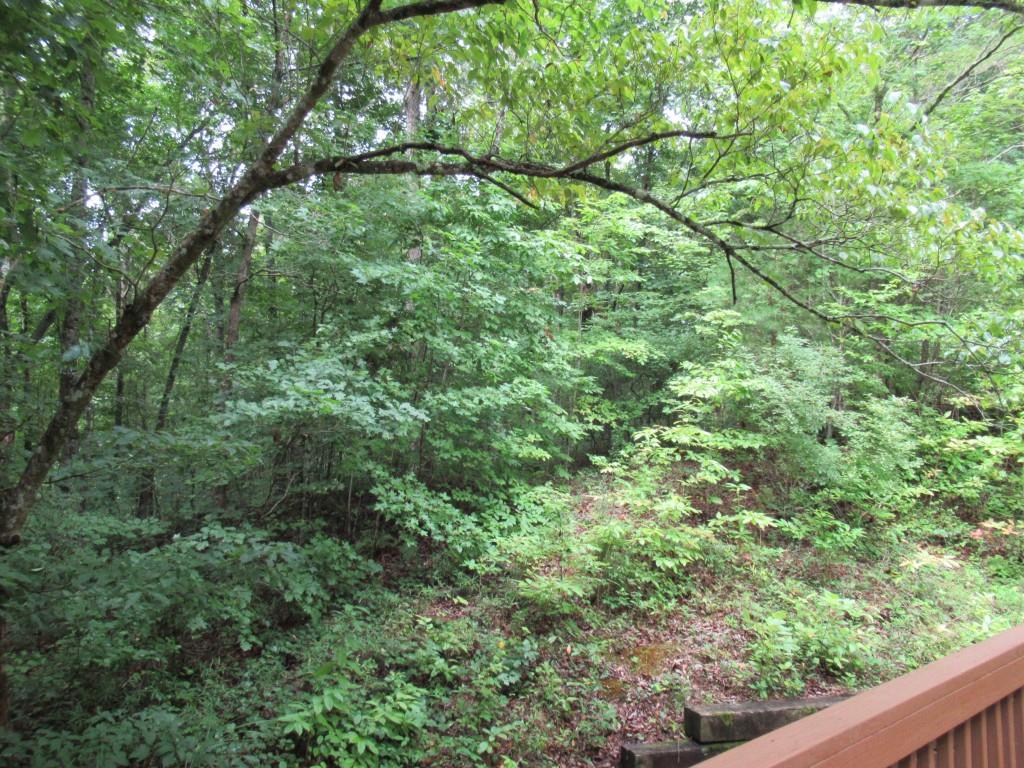 211 Shadow Hills Lane