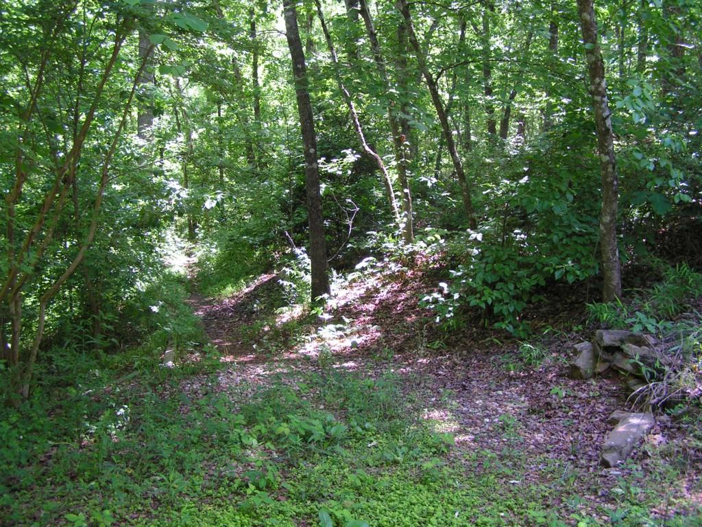 211 Shadow Hills Lane