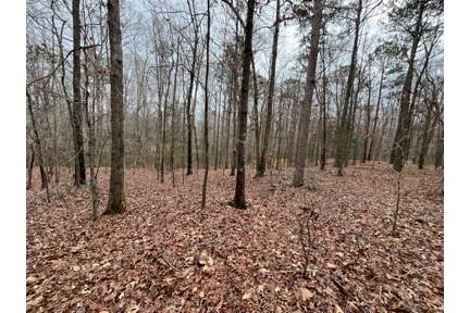 230 Leguin Mill Road