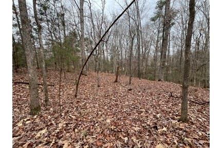 230 Leguin Mill Road