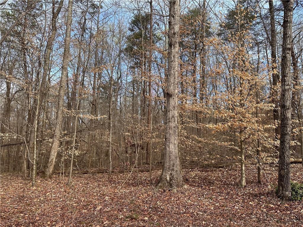 6785 Anderson Lake Road