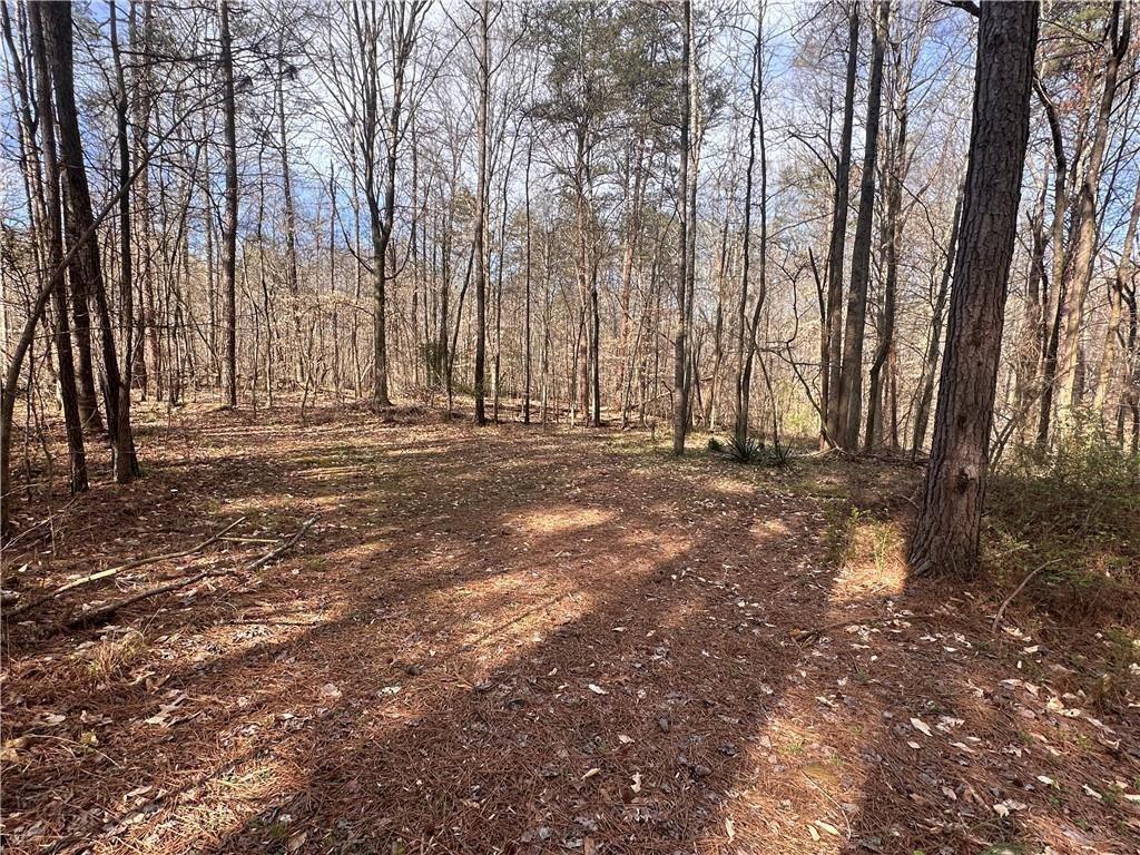 6785 Anderson Lake Road