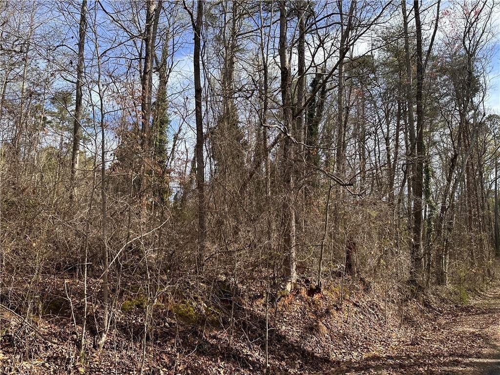 6785 Anderson Lake Road