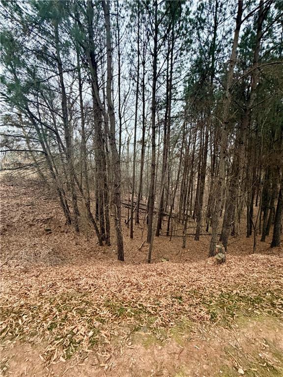 0 Reece Mountain Road