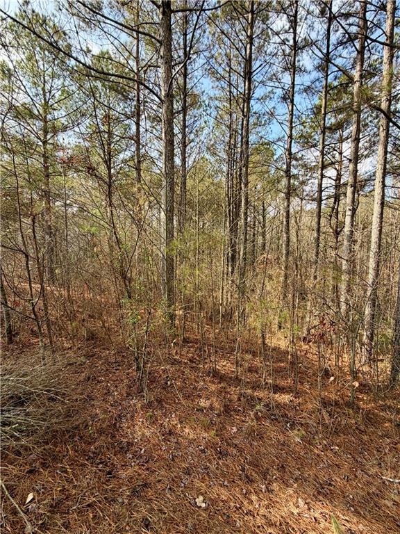 0 Reece Mountain Road