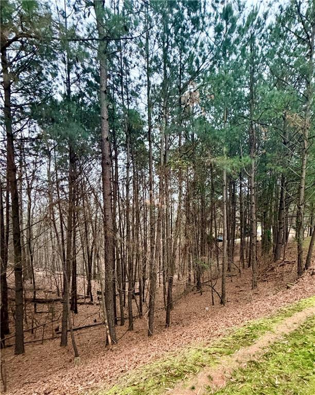 0 Reece Mountain Road