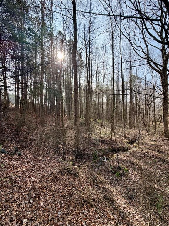 0 Reece Mountain Road