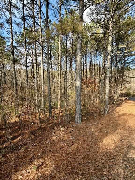 0 Reece Mountain Road