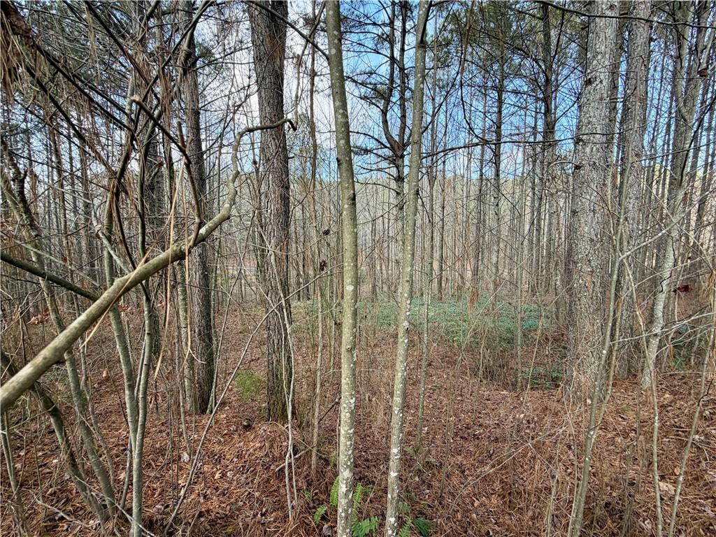 0 Reece Mountain Road