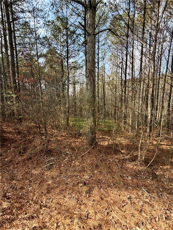 0 Reece Mountain Road