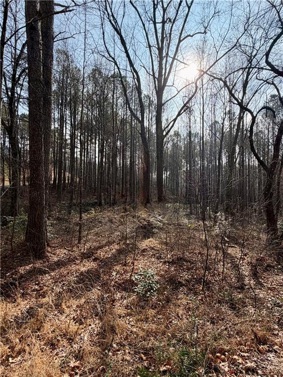 0 Reece Mountain Road