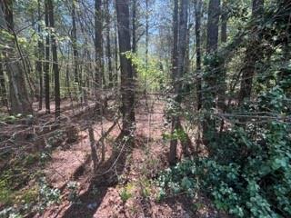 0 Troupe Smith Road SW