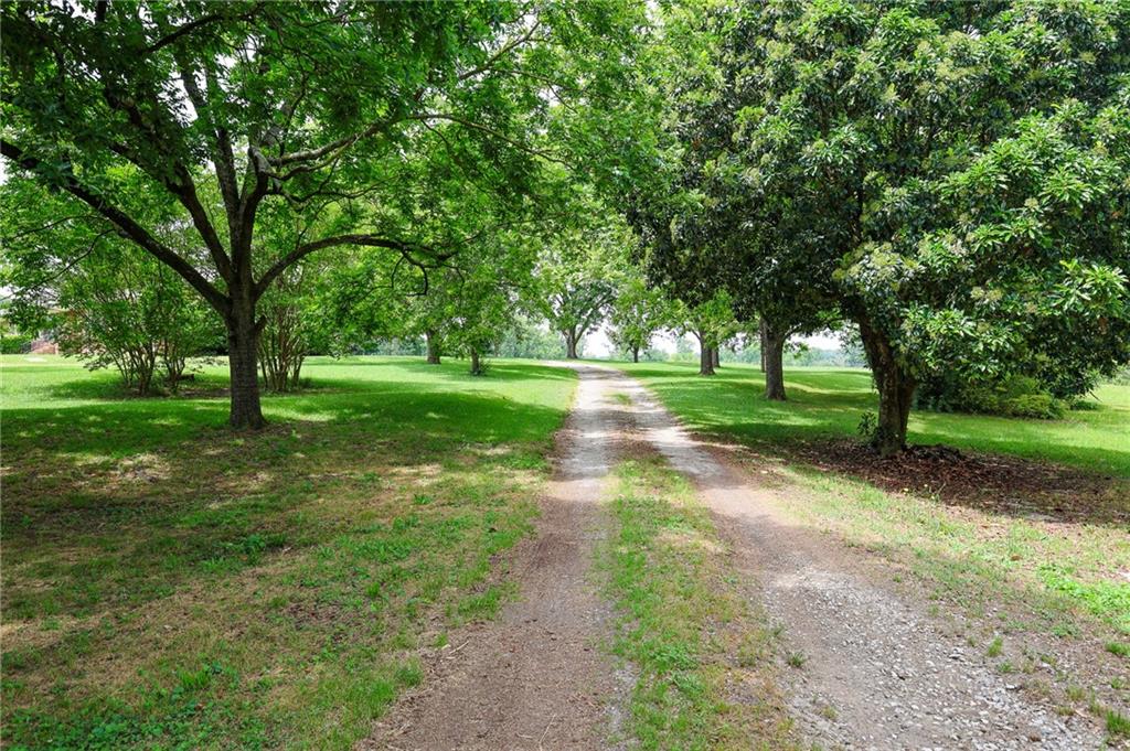 570 Wildcat Bridge Road