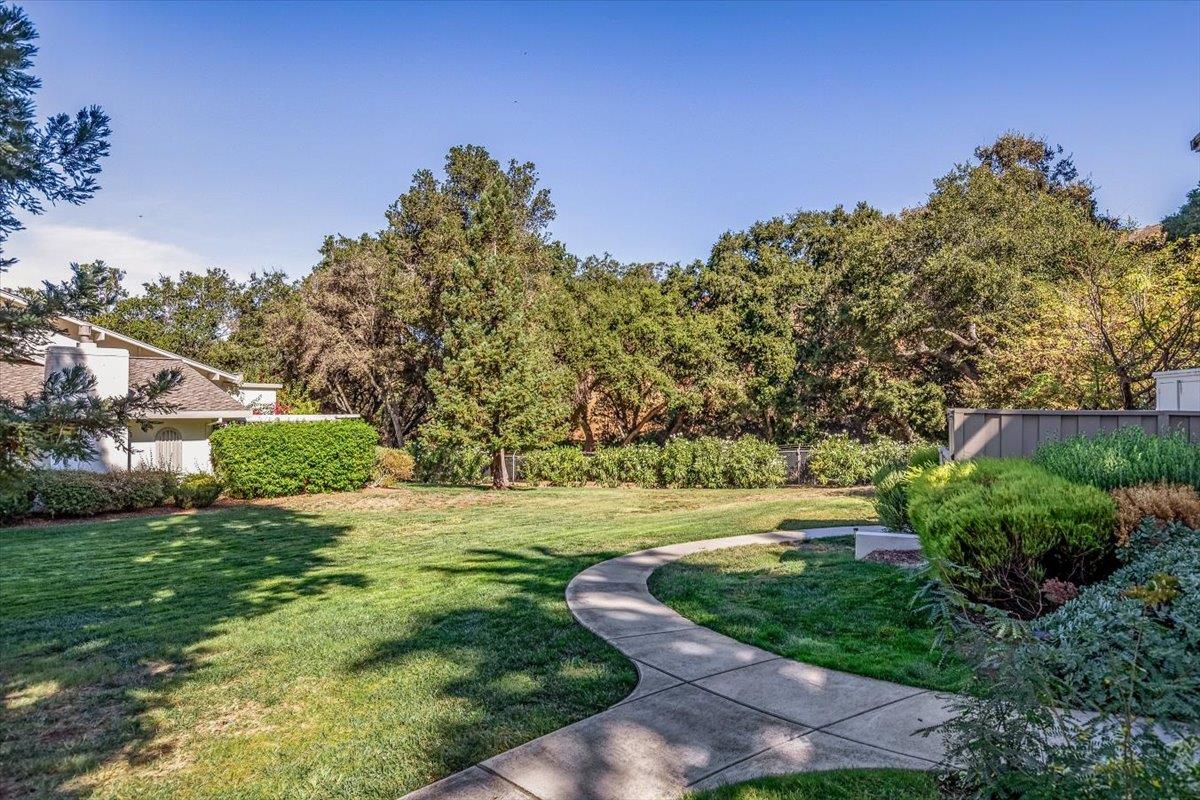 5184 Cribari Knolls