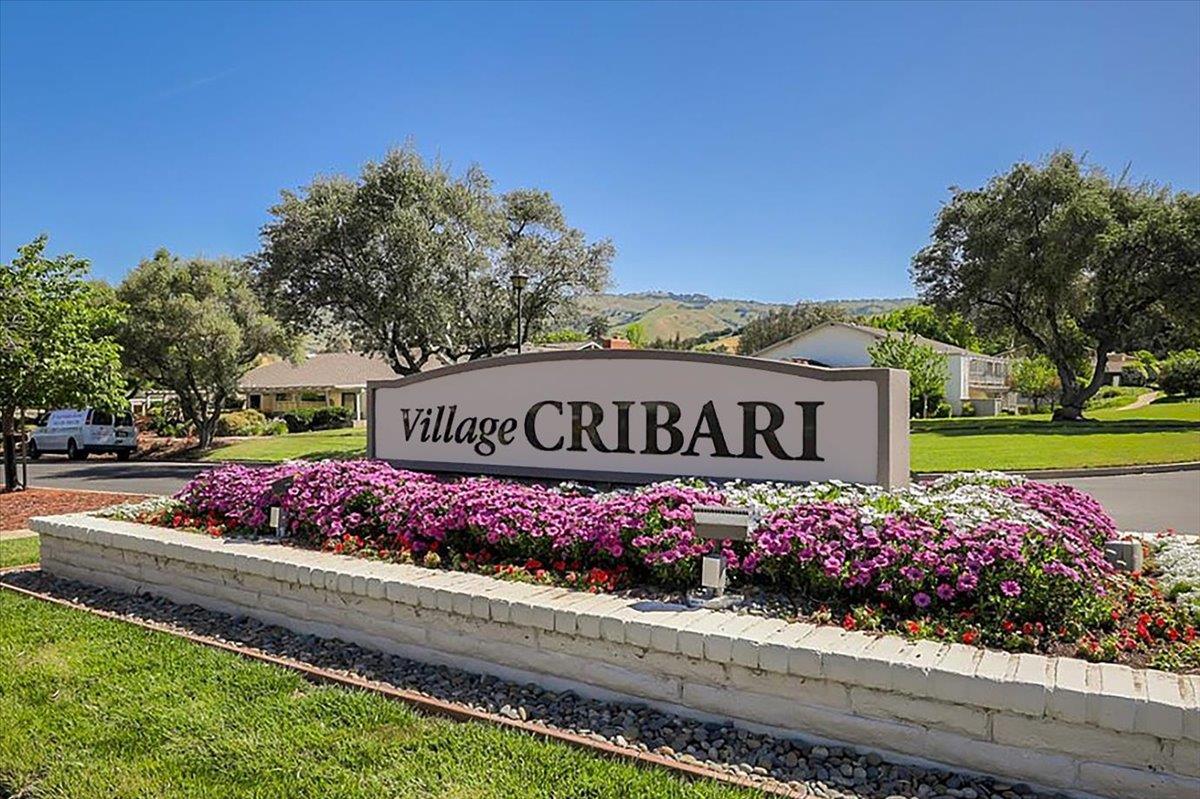 5184 Cribari Knolls