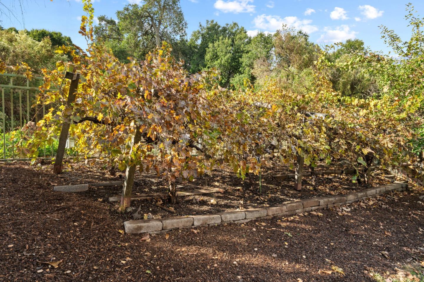 5364 Manderston Drive