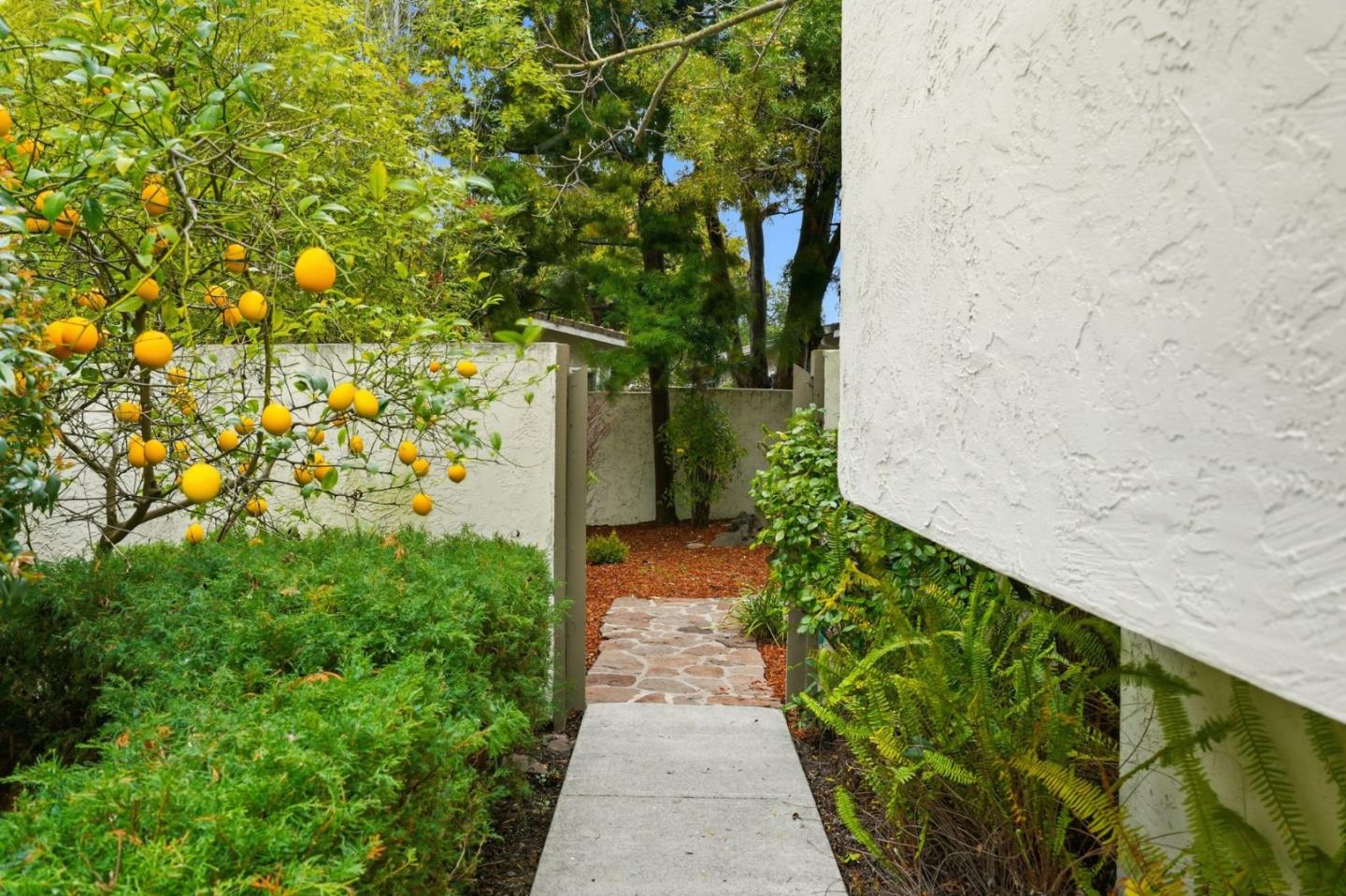 243 Sierra Vista Avenue