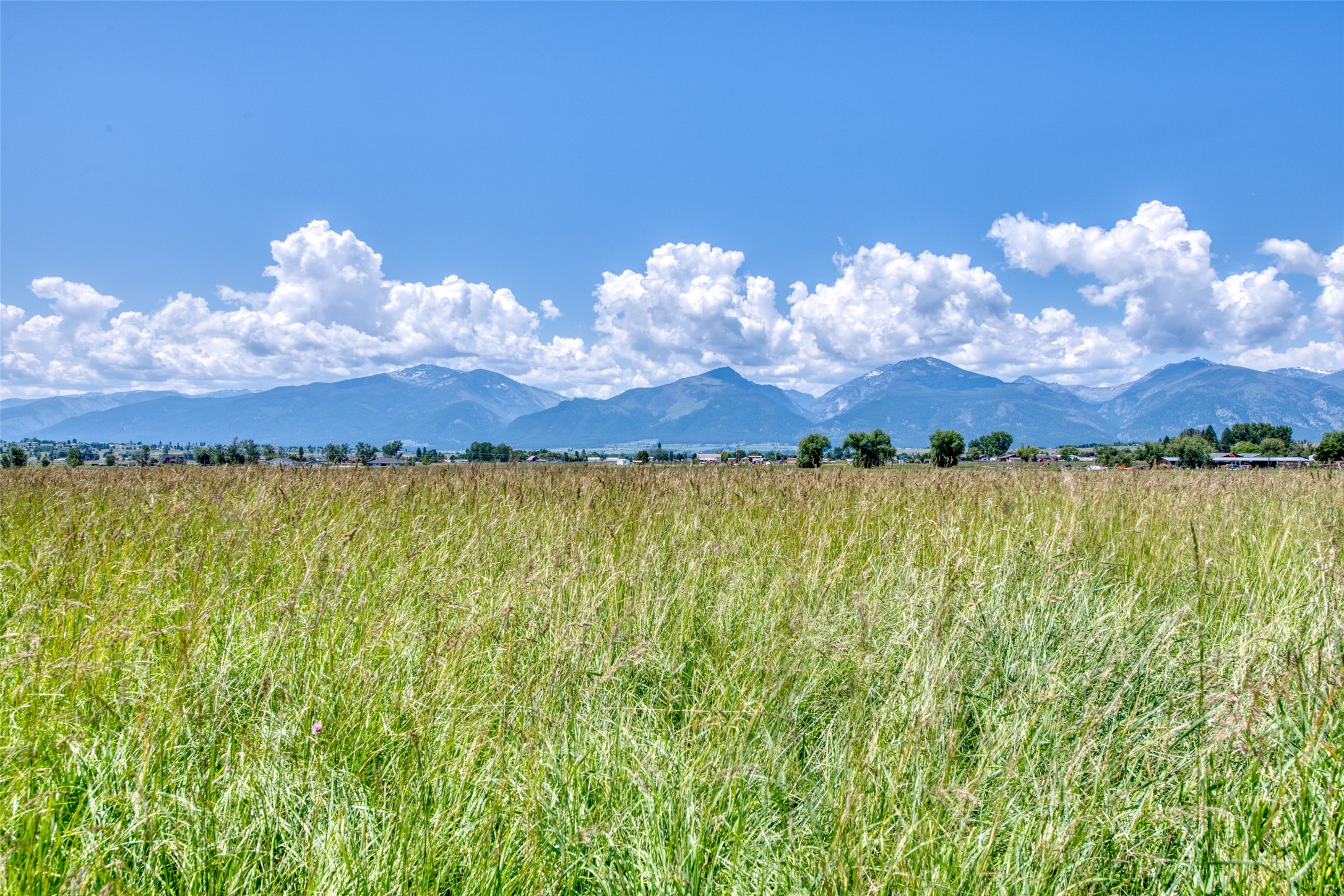 4455 Sunnyside Cemetery Road