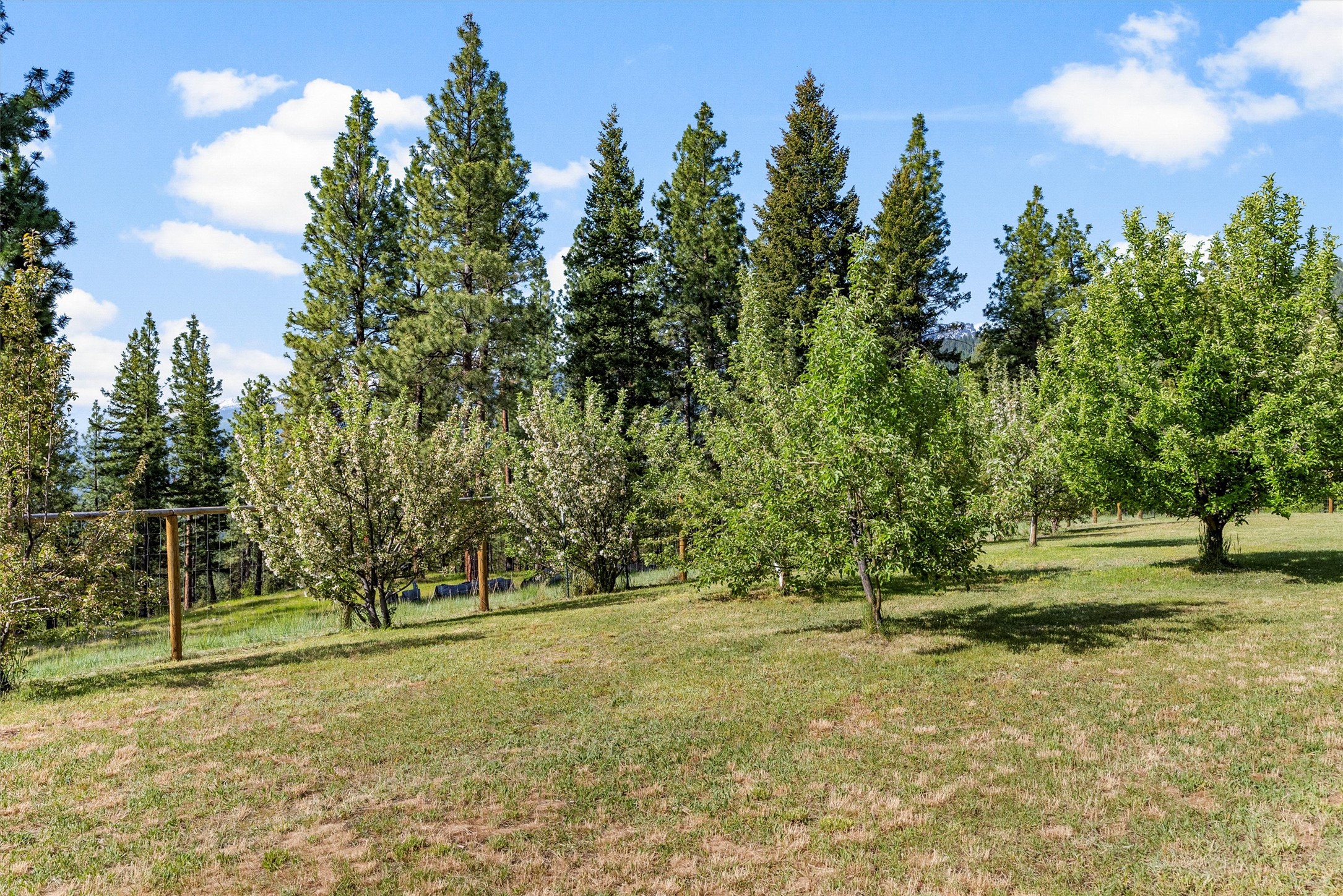 956 Falling Star Road