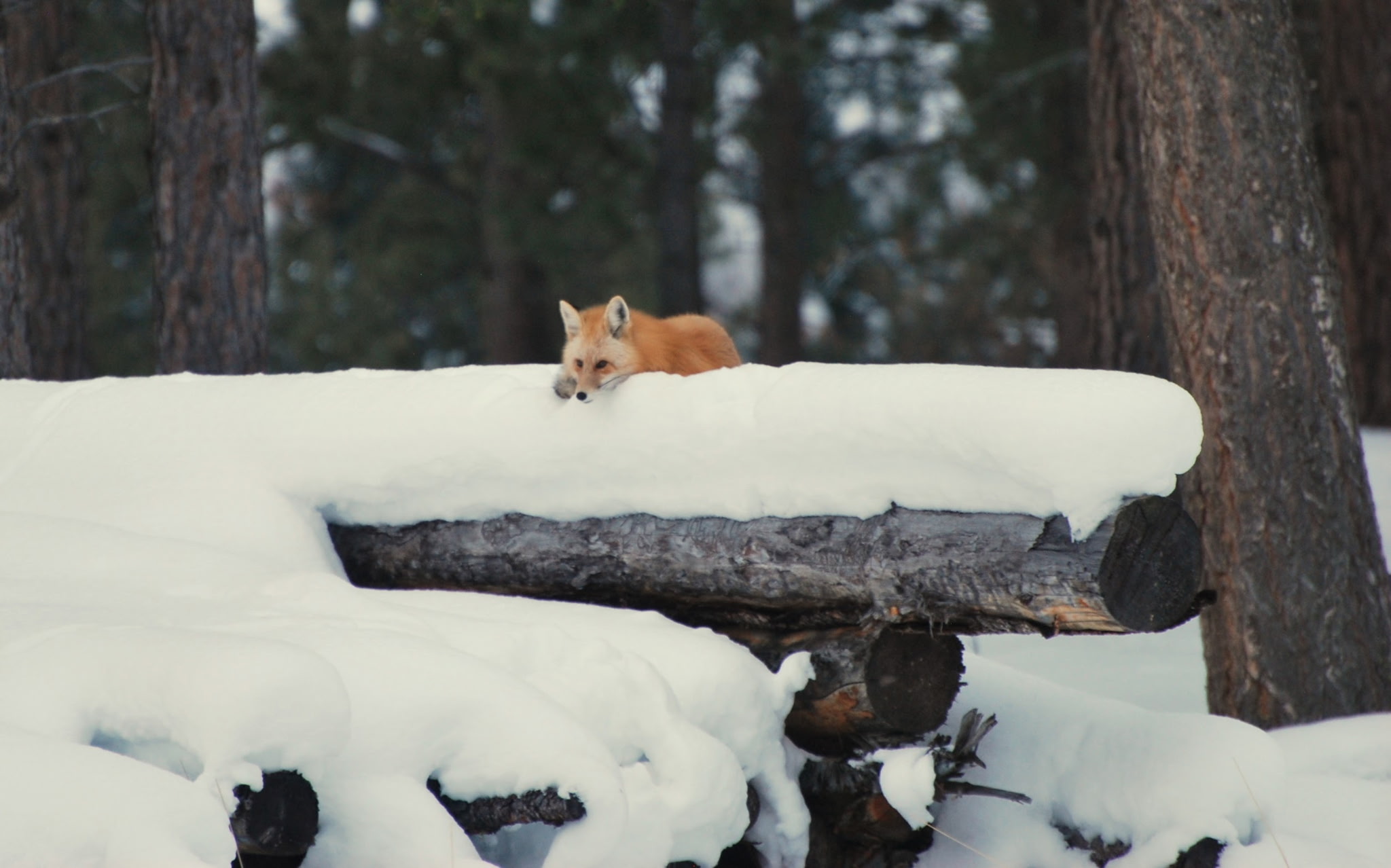 956 and 952 Falling Star Road