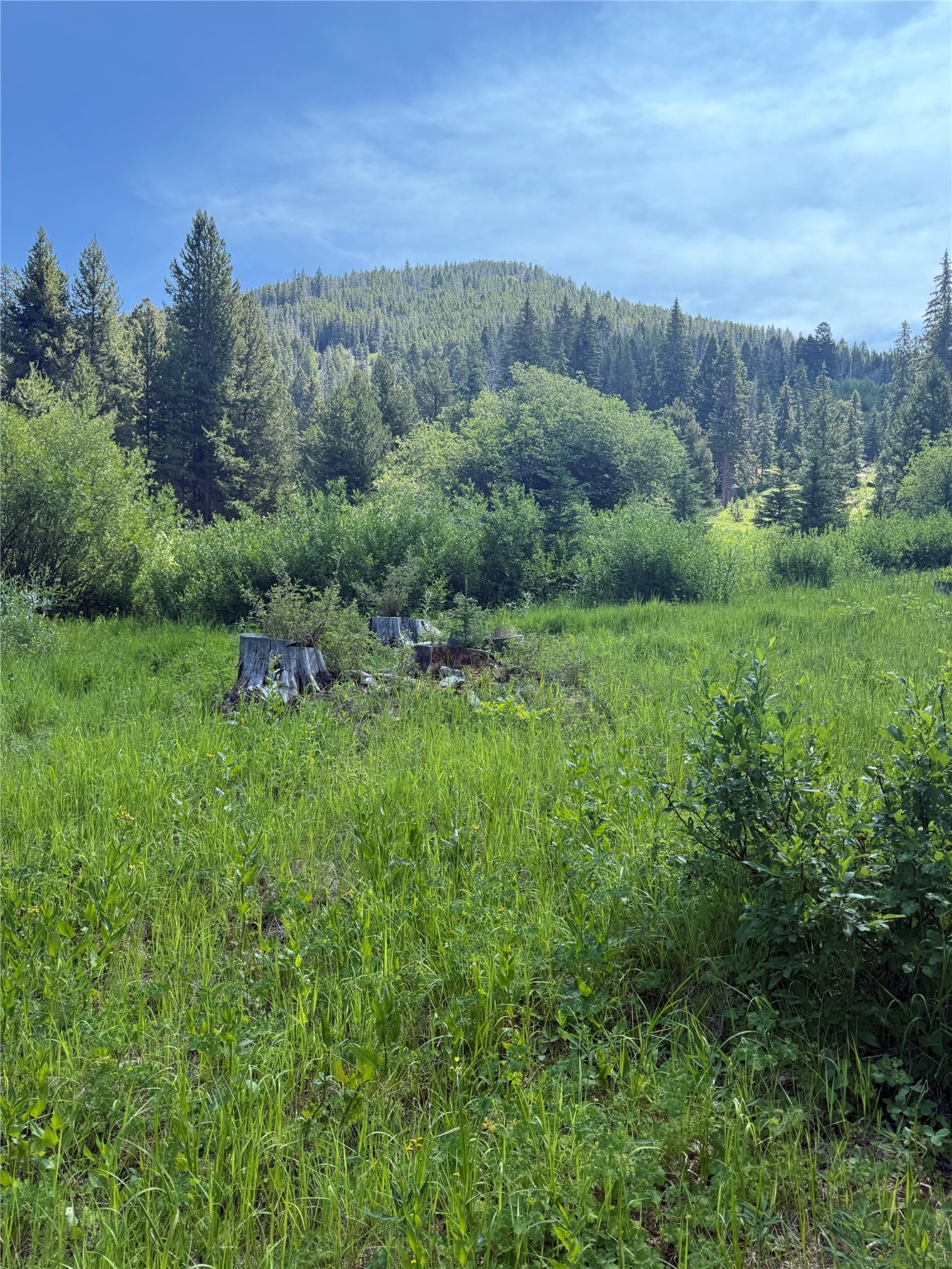 NHN Belle Trail