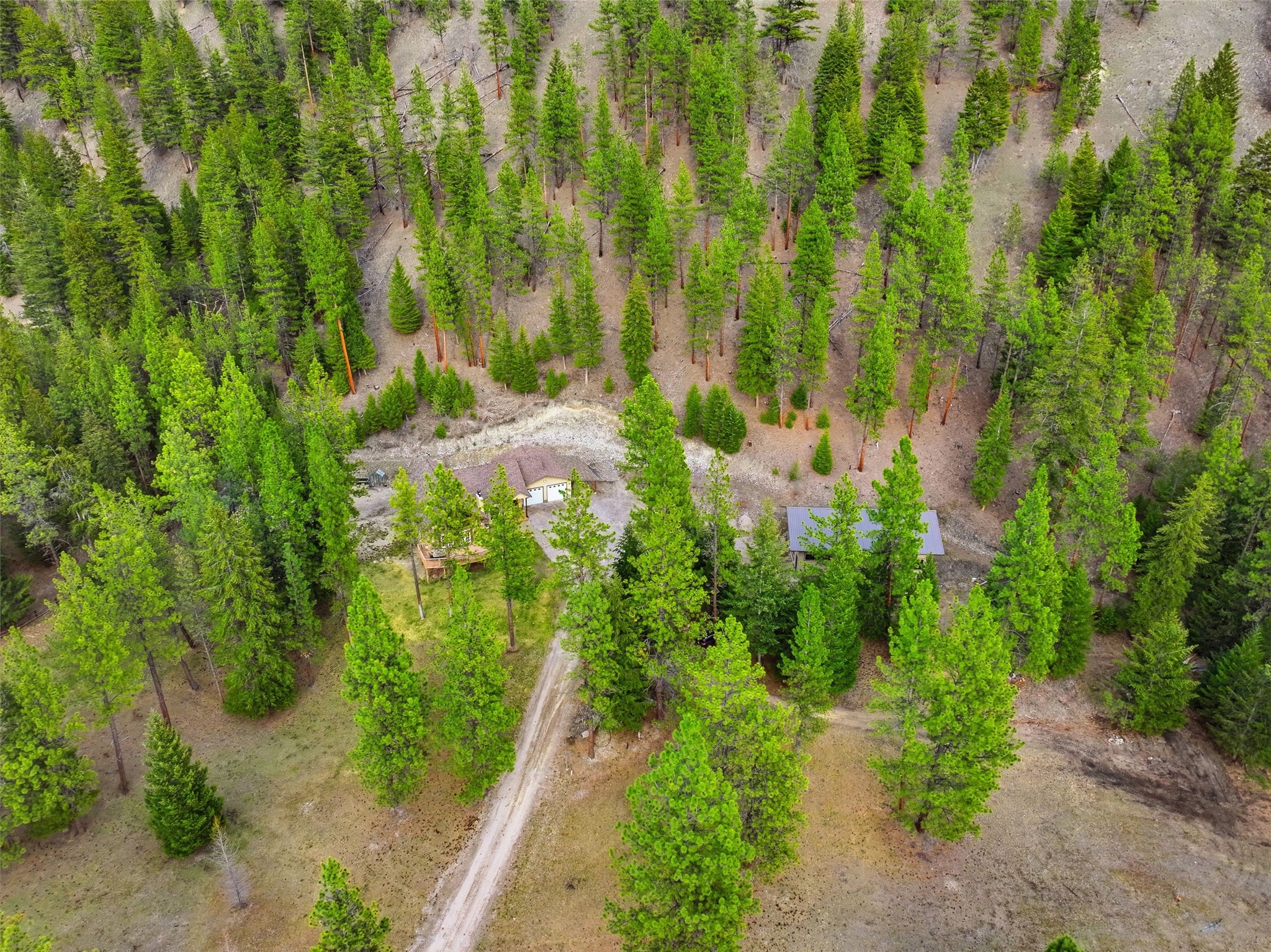 10200 Sleeman Creek Road