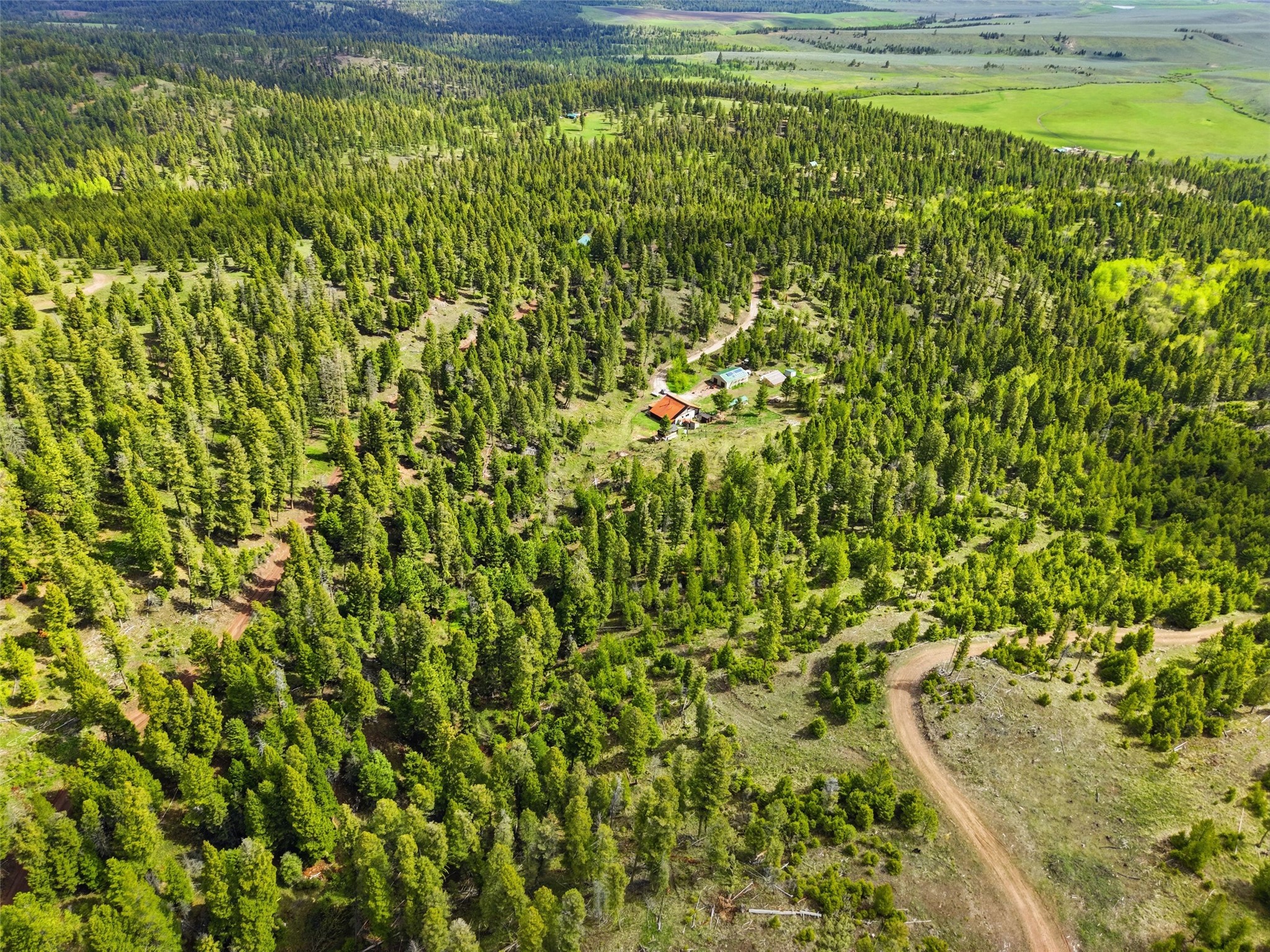 668 Wild Horse Loop