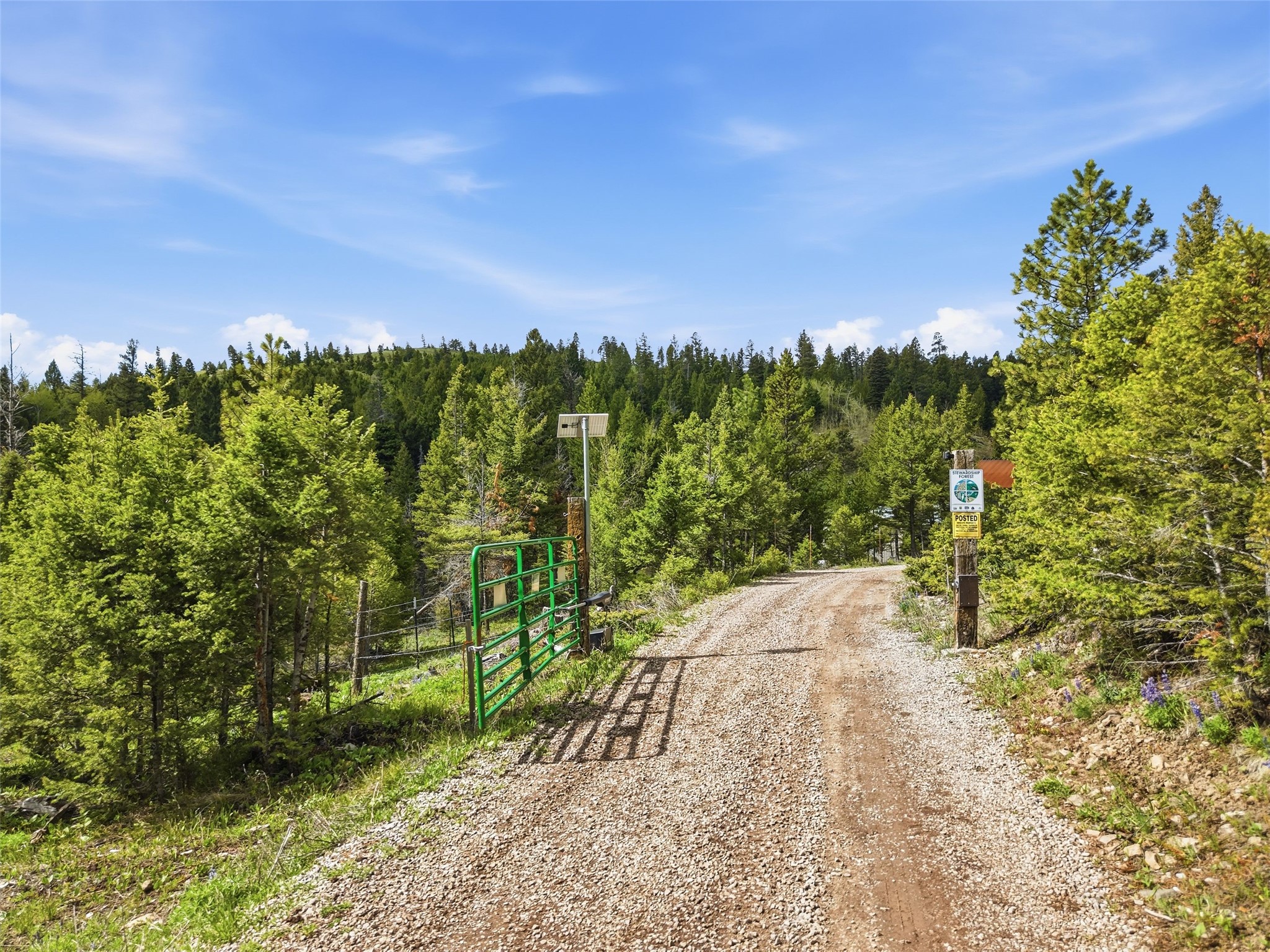 668 Wild Horse Loop
