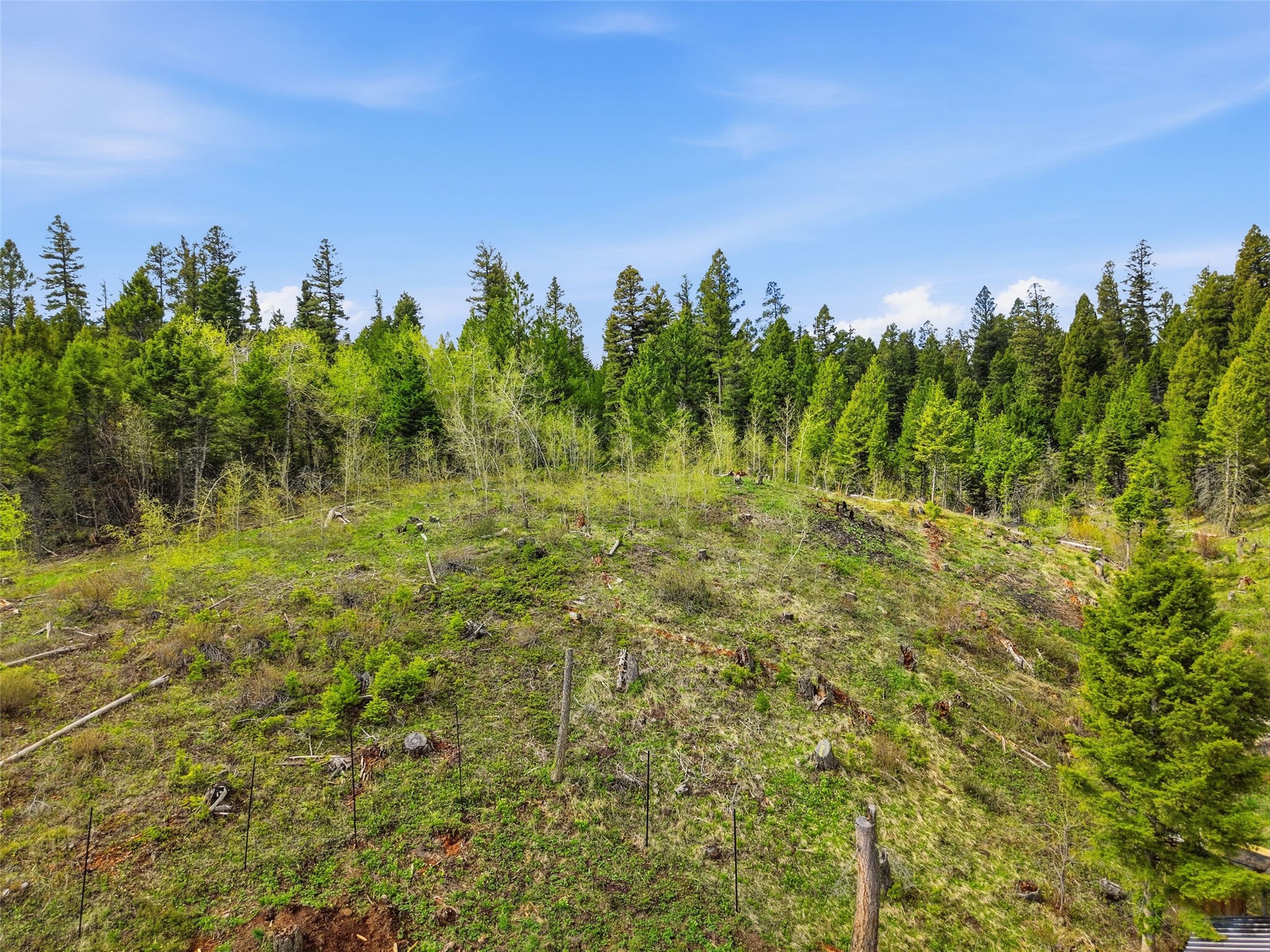 668 Wild Horse Loop