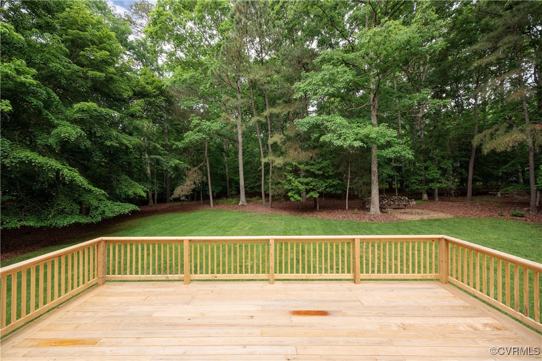 10910 Lesser Scaup Lndg