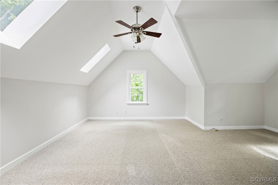 10910 Lesser Scaup Lndg