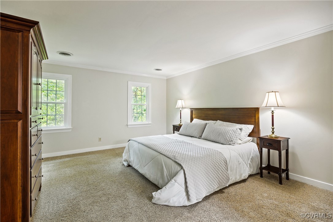 10910 Lesser Scaup Lndg