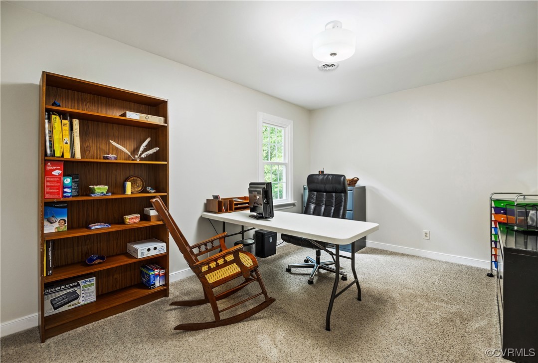 10910 Lesser Scaup Lndg