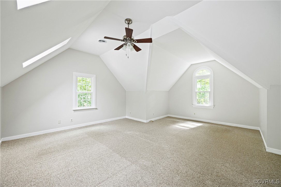 10910 Lesser Scaup Lndg