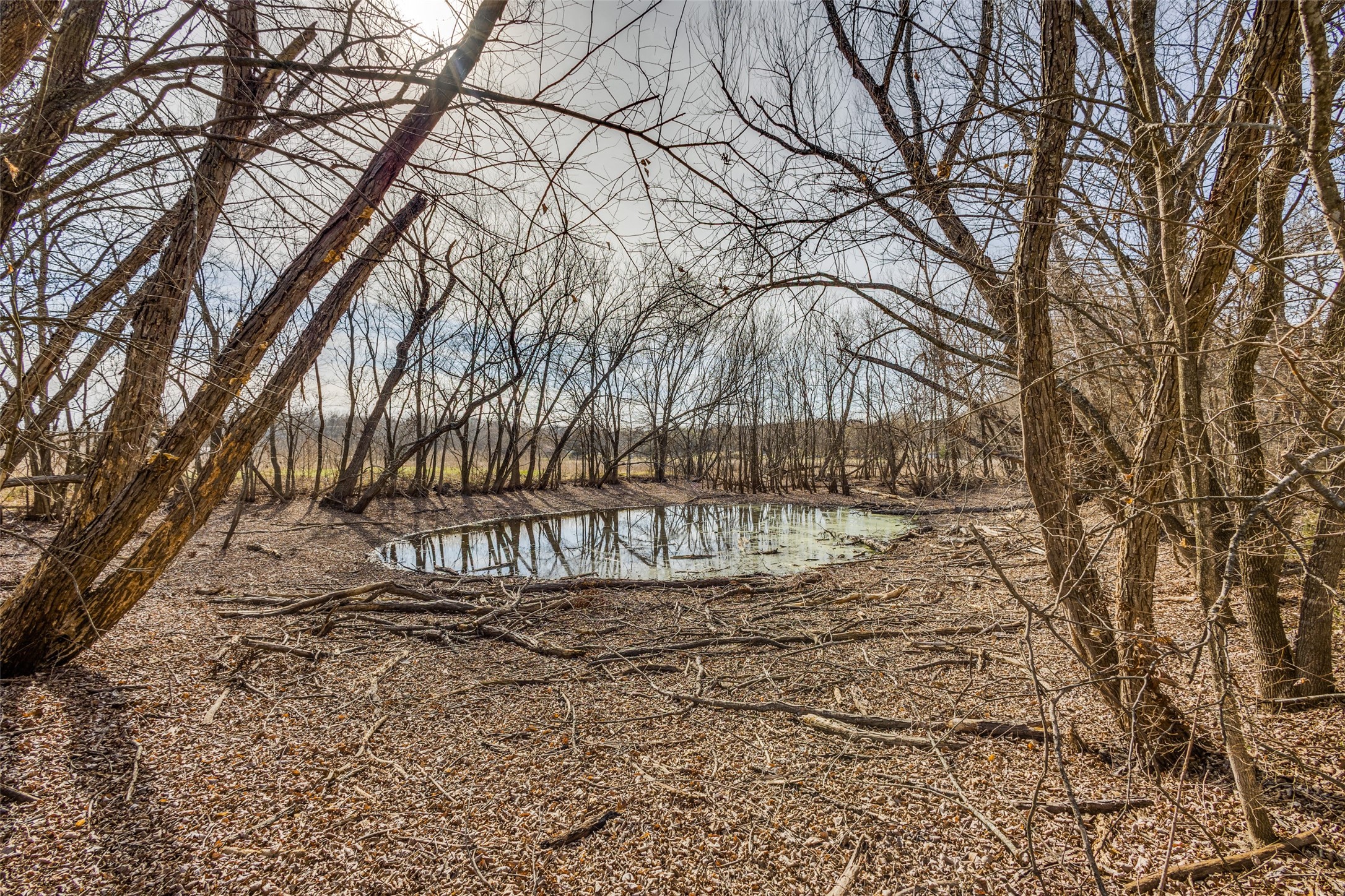 1425 Cowan Road