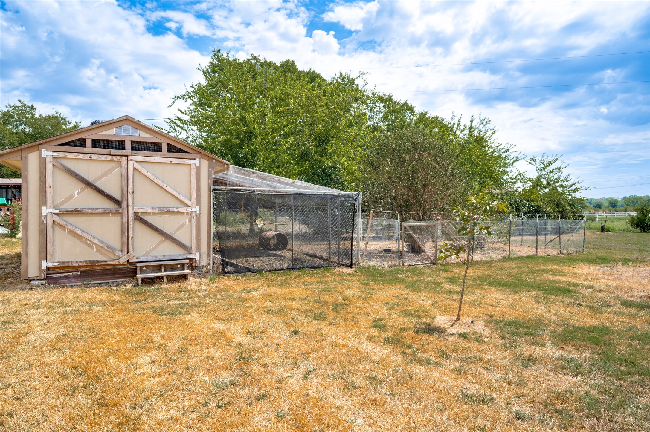 Backyard with a tan wooden outbuilding, mesh animal enclosure, and chain-link fencing.