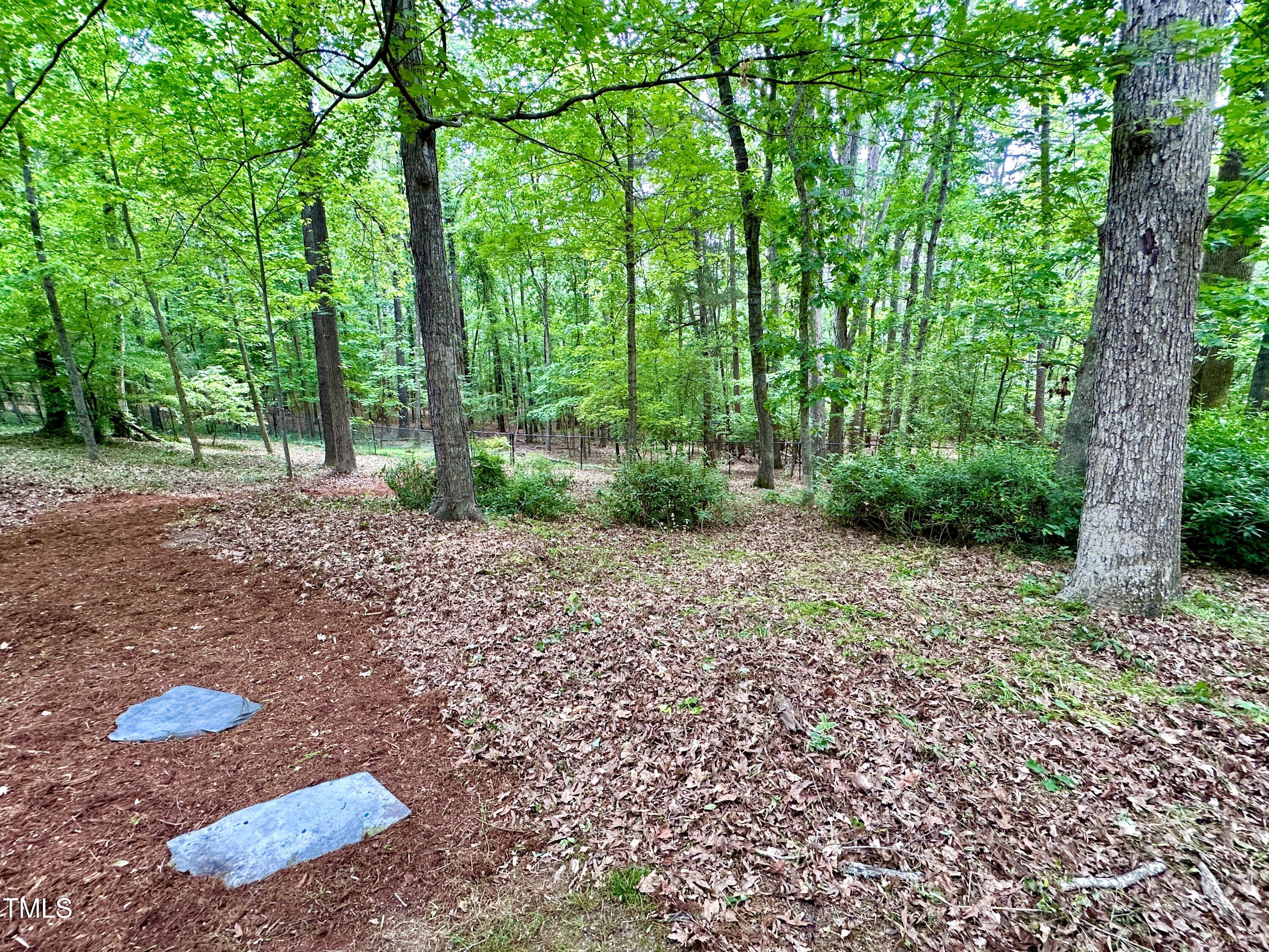 307 Clayton Road