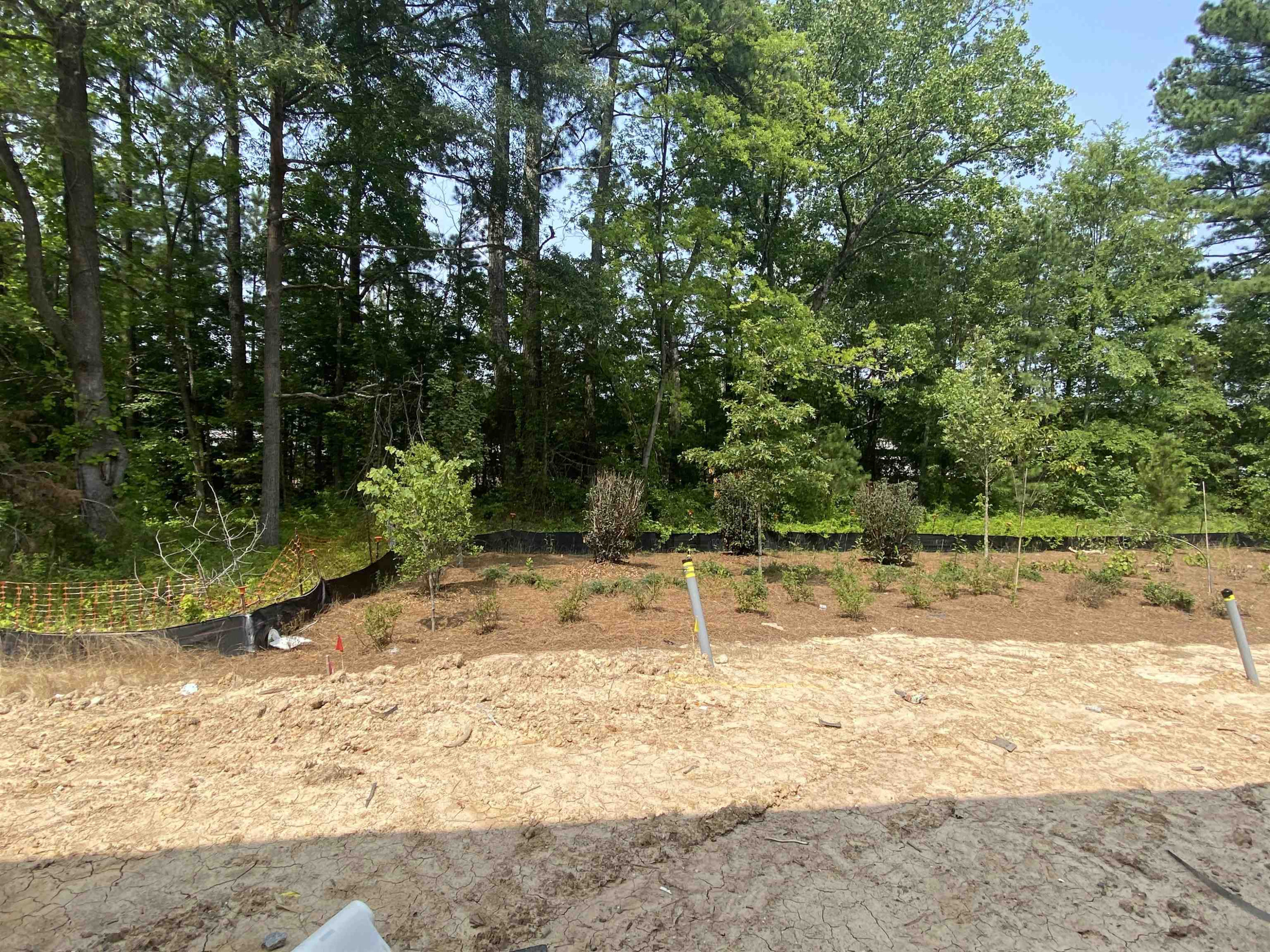 3029 Ranger Drive