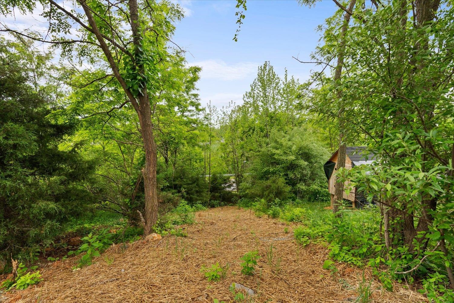 Lot 8 MIDDLEBROOK AVE