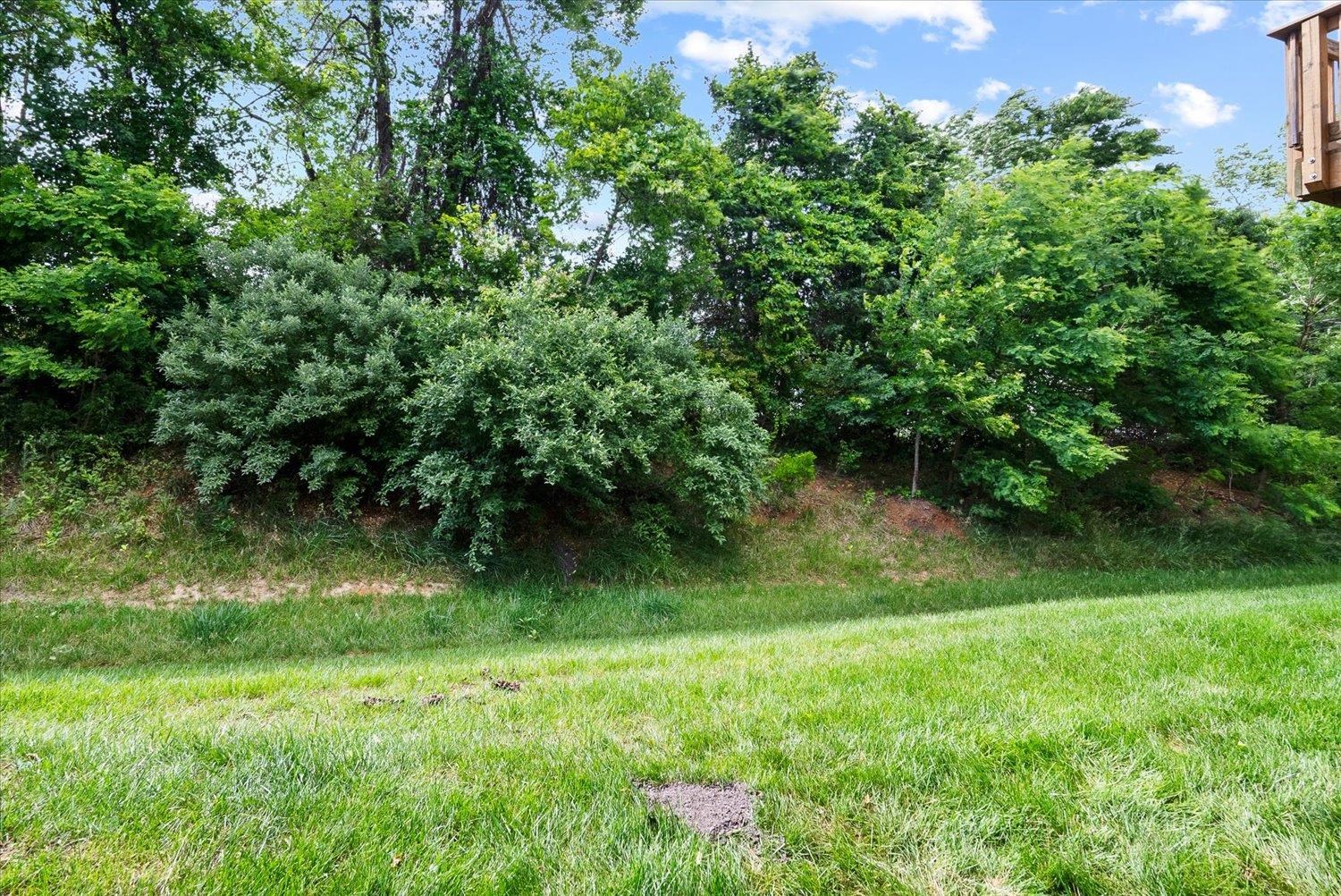 241 WILLOWSHIRE CT