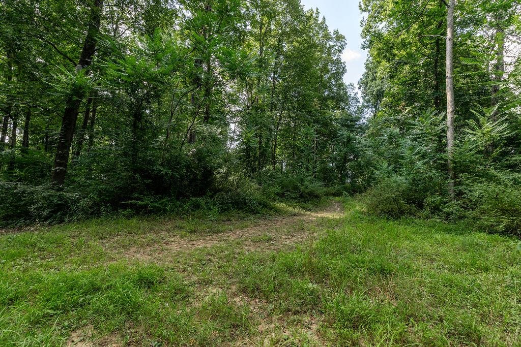 241 BACK CREEK LN