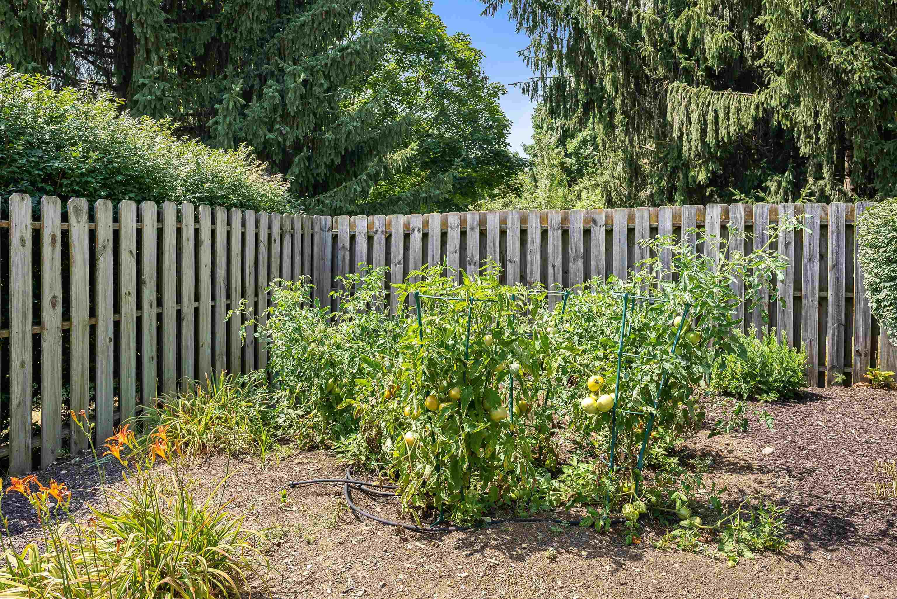 305 PELHAM DR