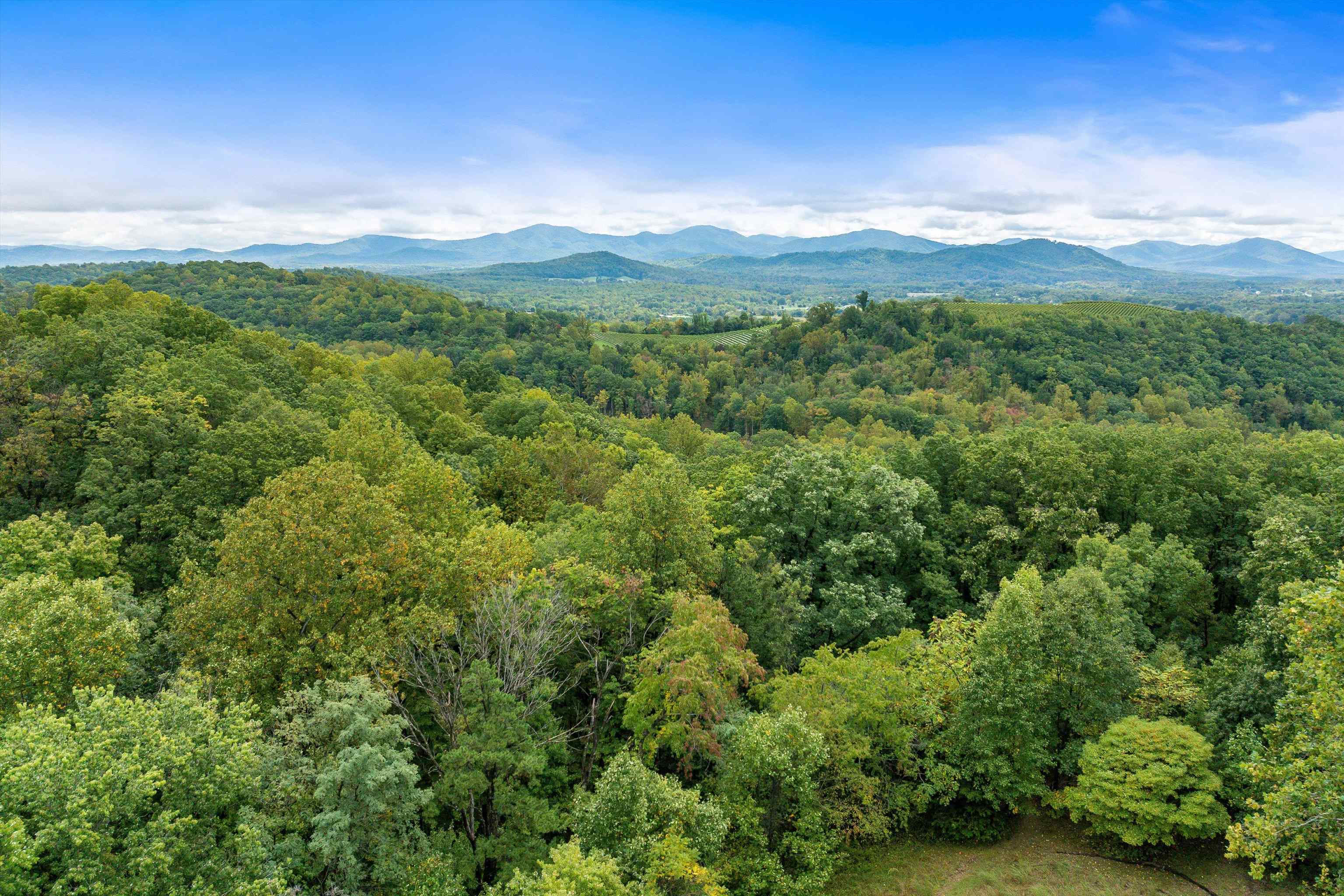2811 AFTON MOUNTAIN RD