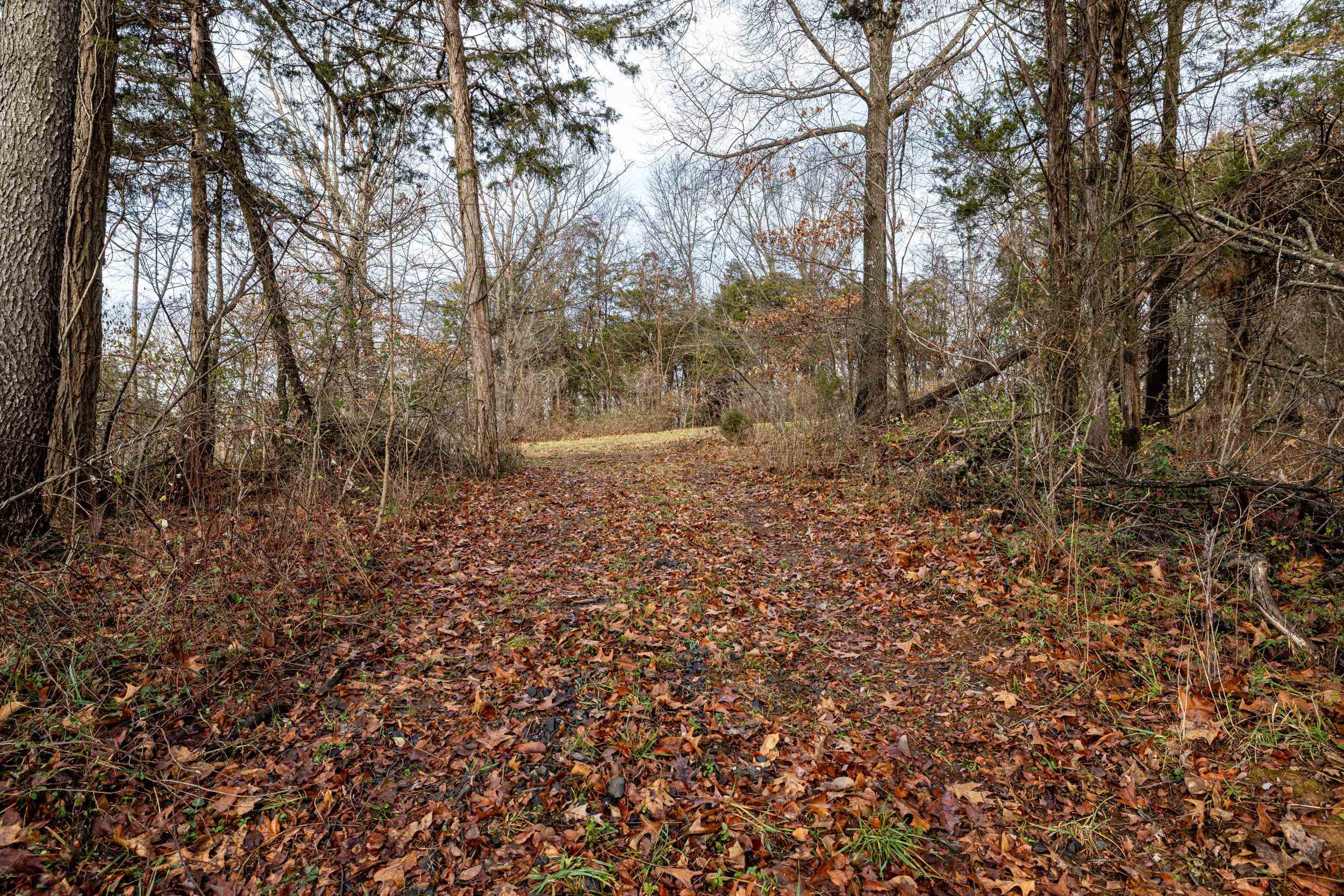 TBD SHUTTERLEE MILL RD
