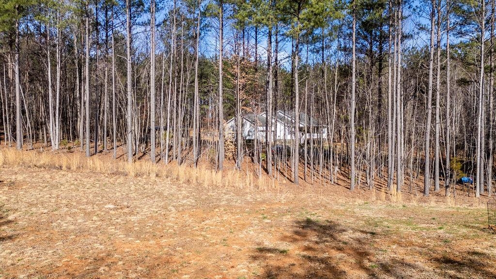 278 RIDGE LN