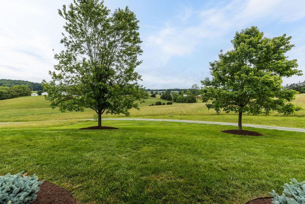 3008 SPRING HILL RD