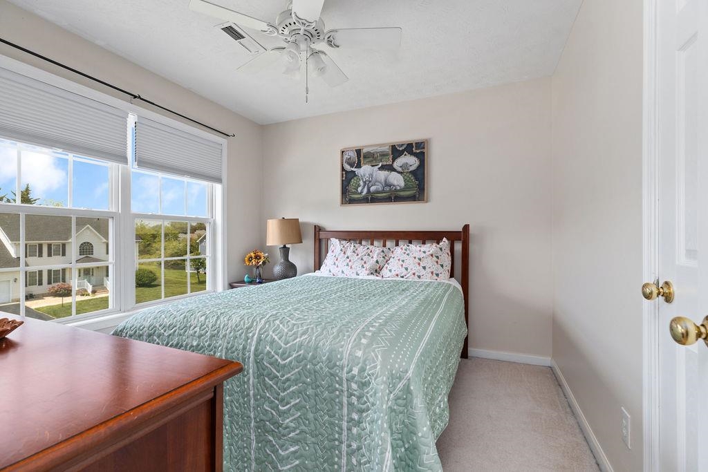 30 BEATRICE CT