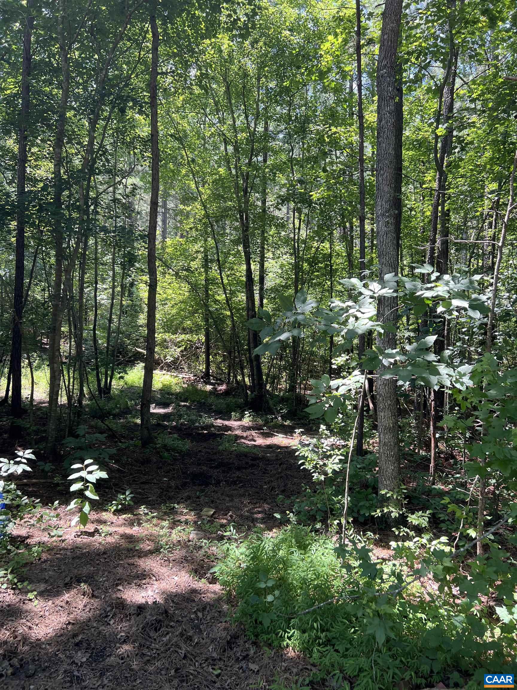 Lot 6 RICHMOND RD