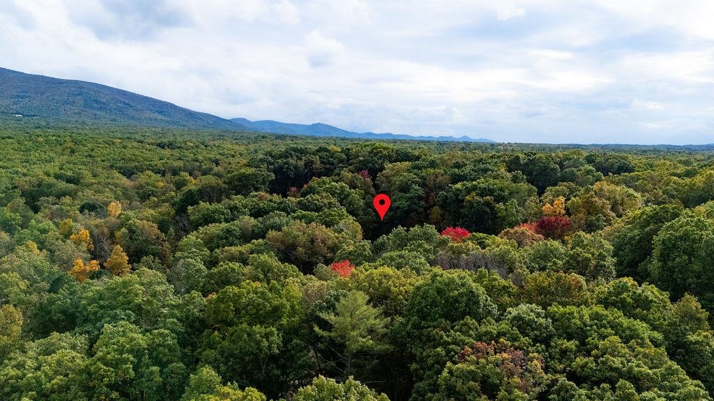 TBD HORSESHOE HOLLOW